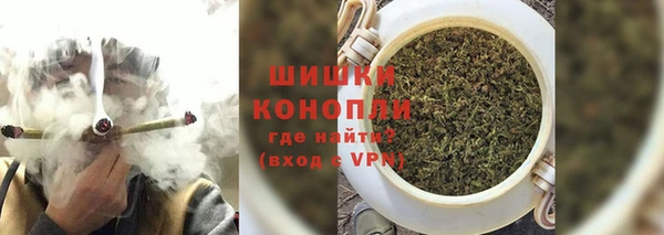 шишки Бугульма