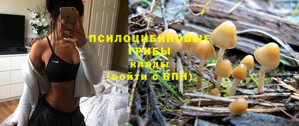 шишки Бугульма