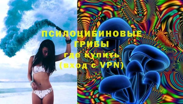 шишки Бугульма
