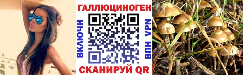 мега зеркало  наркотики  Мостовской  Псилоцибиновые грибы мицелий 